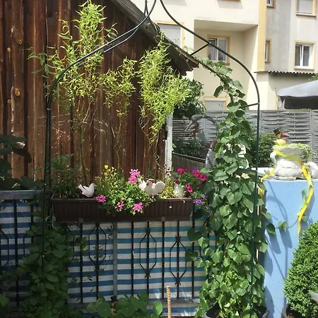 招待所 卡腾贝克酒店 3*